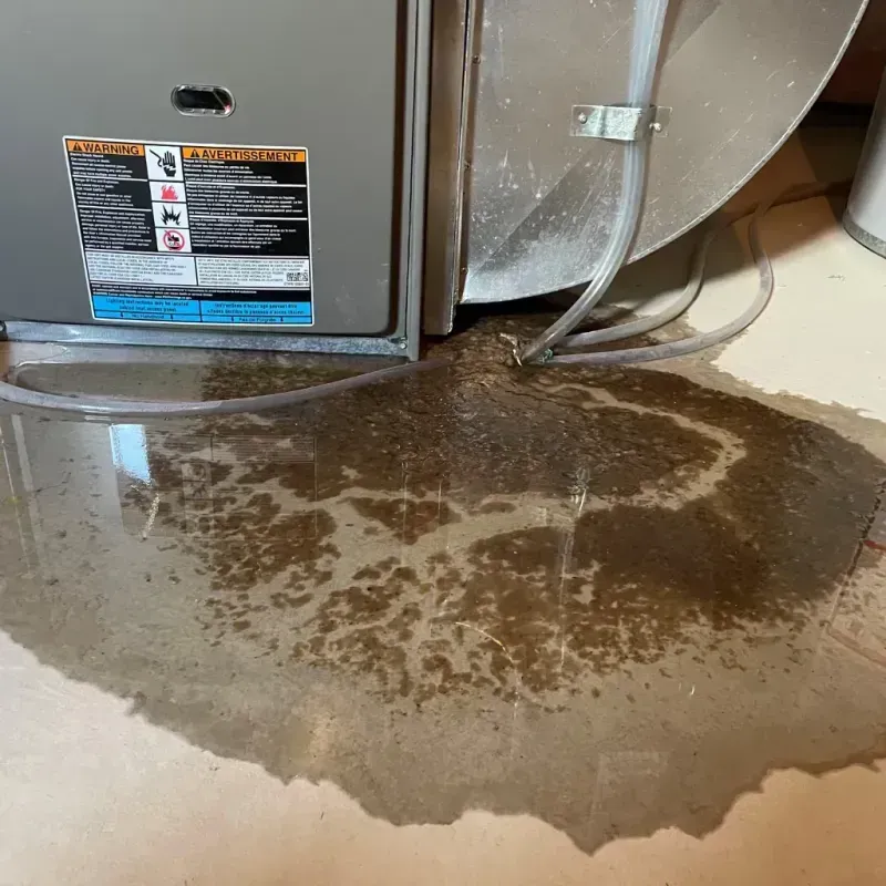 Appliance Leak Cleanup in Glenwood City, WI